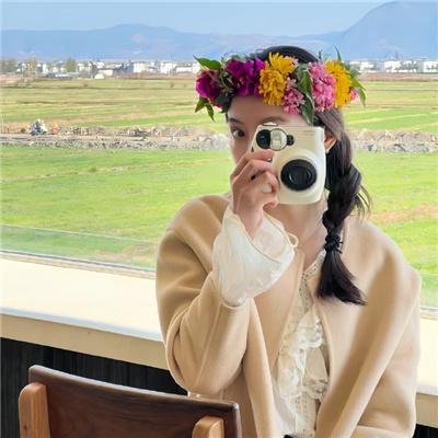 假元首秘纪